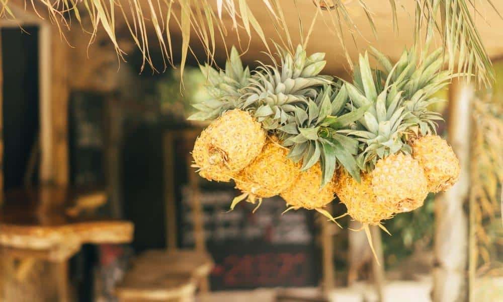 L’ananas est bon pour la santé des seniors, voici pourquoi
