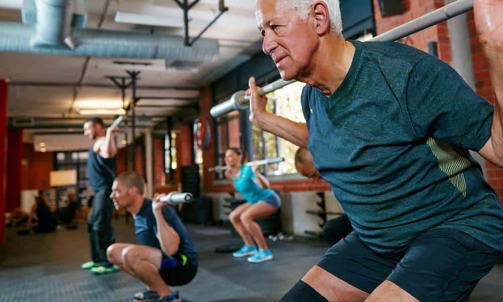 Apéline : une hormone potentielle pour retrouver sa masse musculaire