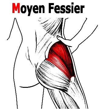 Apprenons à bien étirer nos muscles du fessier avec Isabelle Balland