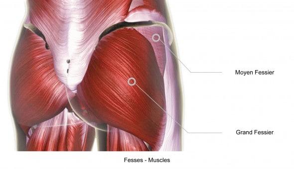 Stretching - Comment solliciter le grand fessier, sans charge ni matériel particulier