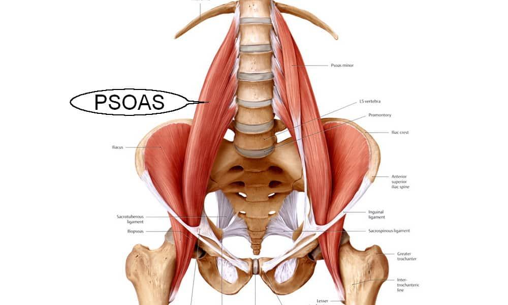 Etirons notre psoas-iliaque avec Isabelle Balland