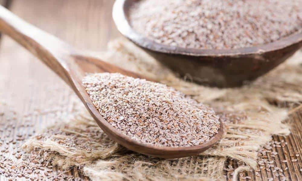 Psyllium : une arme naturelle redoutable contre la constipation