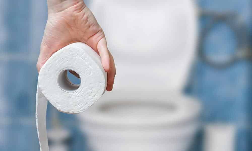 Psyllium : une arme naturelle redoutable contre la constipation