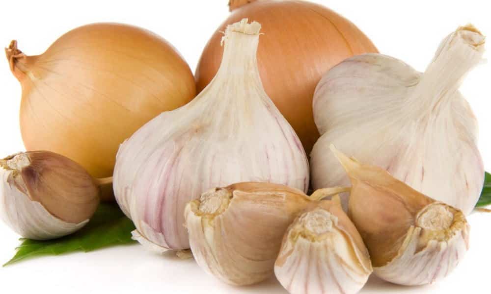 De l’ail et de l’oignon pour réduire le risque de cancer colorectal