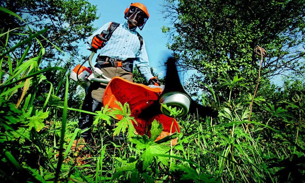 Dans une démarche écologique, le paillage a de nombreux avantages.