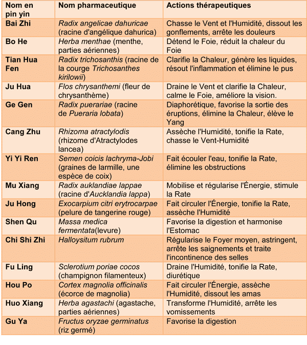 Un senior a souvent des problèmes digestifs. Le Po Chain peut y remédier.