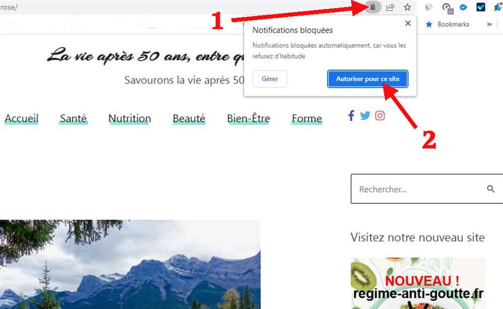 Les web push notifications disponibles sur Happy Quinquas et Seniors